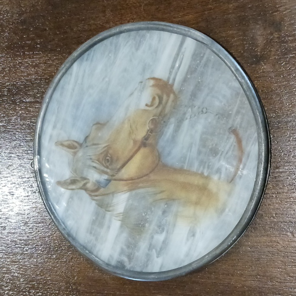 Suncatcher Palomino Horse Head signed Swan stained glass painted LED frame